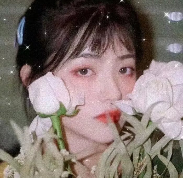 无为大师第三季